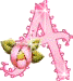 alphabet 213