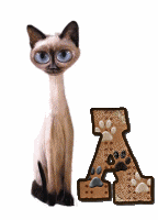 alphabet 222