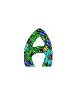 alphabet 244