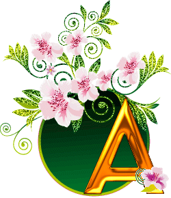 alphabet 375