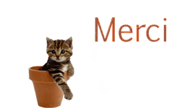 gif animé merci chat