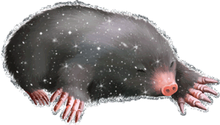 Gif animé taupe dort